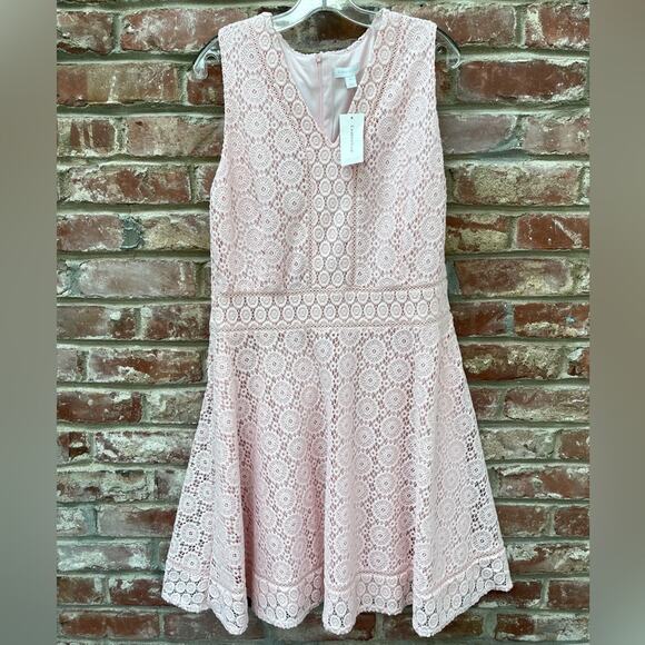 Charter Club Lace Fit and Flare‎ Dress Lace Pastel Powder Pink Feminine Dress XL - Picture 6 of 7